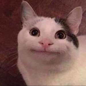 Meet your Posher, Steve